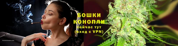 эйфоретик Покачи