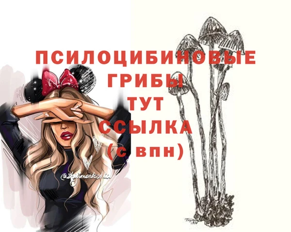 бошки Арсеньев