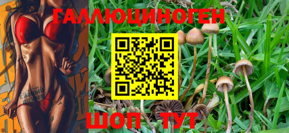 Псилоцибиновые грибы ЛСД  Вятские Поляны  где купить   Псилоцибиновые грибы прущие грибы 