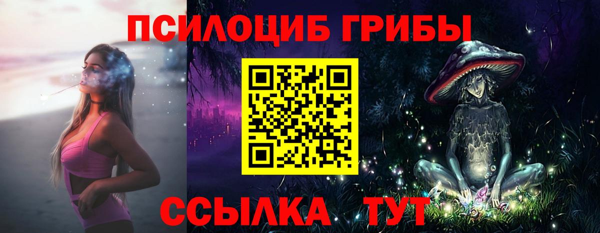 Псилоцибиновые грибы Magic Shrooms Вятские Поляны